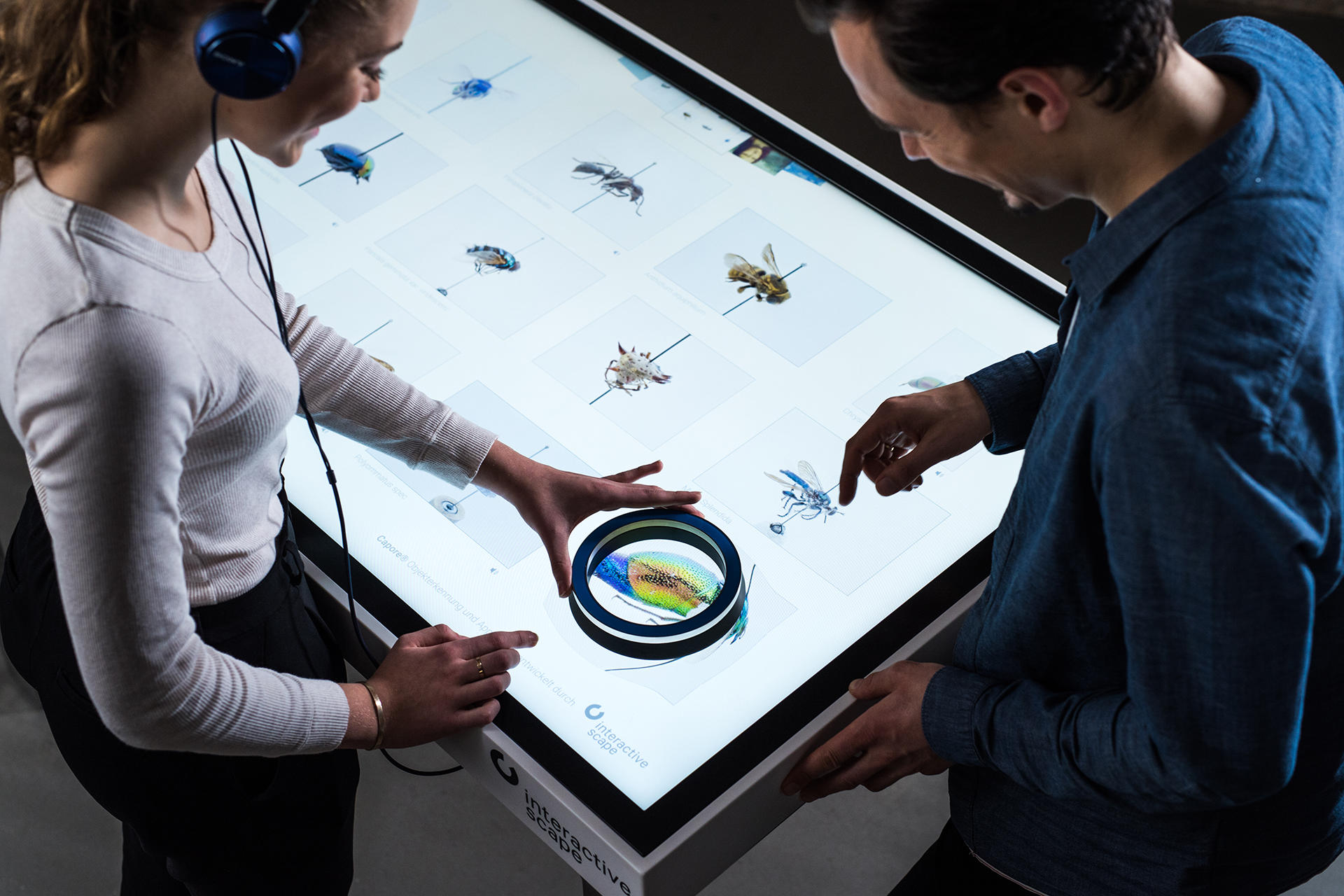 Interactive Scape GmbH, Wilhelmine-Gemberg-Weg 6 in Berlin