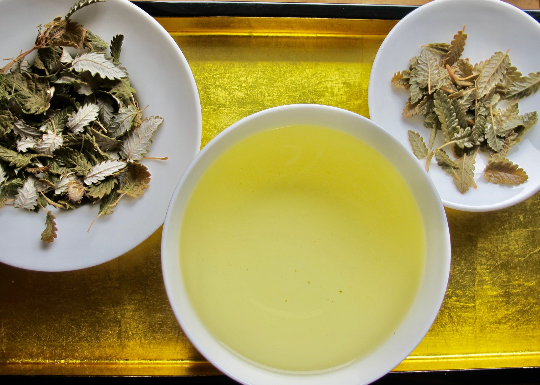 Praxis für Akupunktur, TCM, Phytotherapie, Kräutermedizin, Tibetische Medizin, Kirchenfeldstrasse 31 in Bern