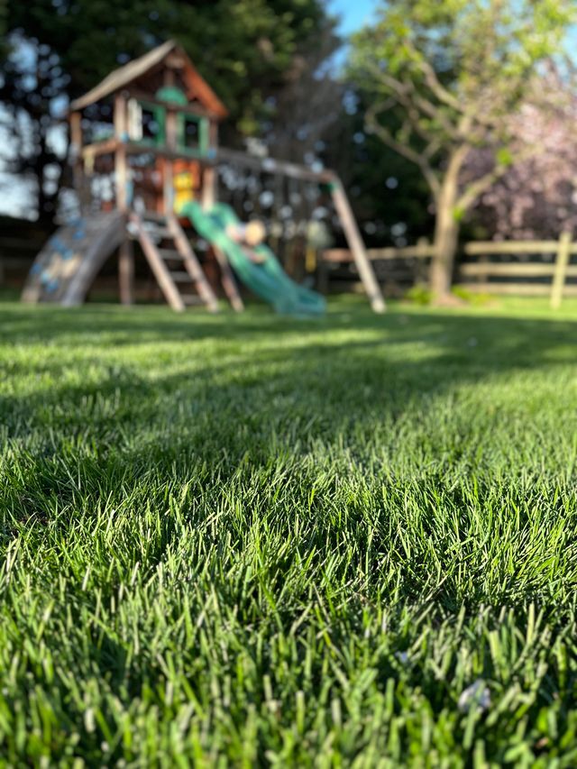 NaturaLawn of America Image