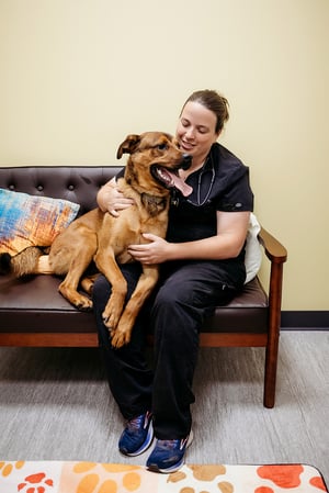 Images PetVet365 Pet Hospital Indianapolis / Eagle Creek