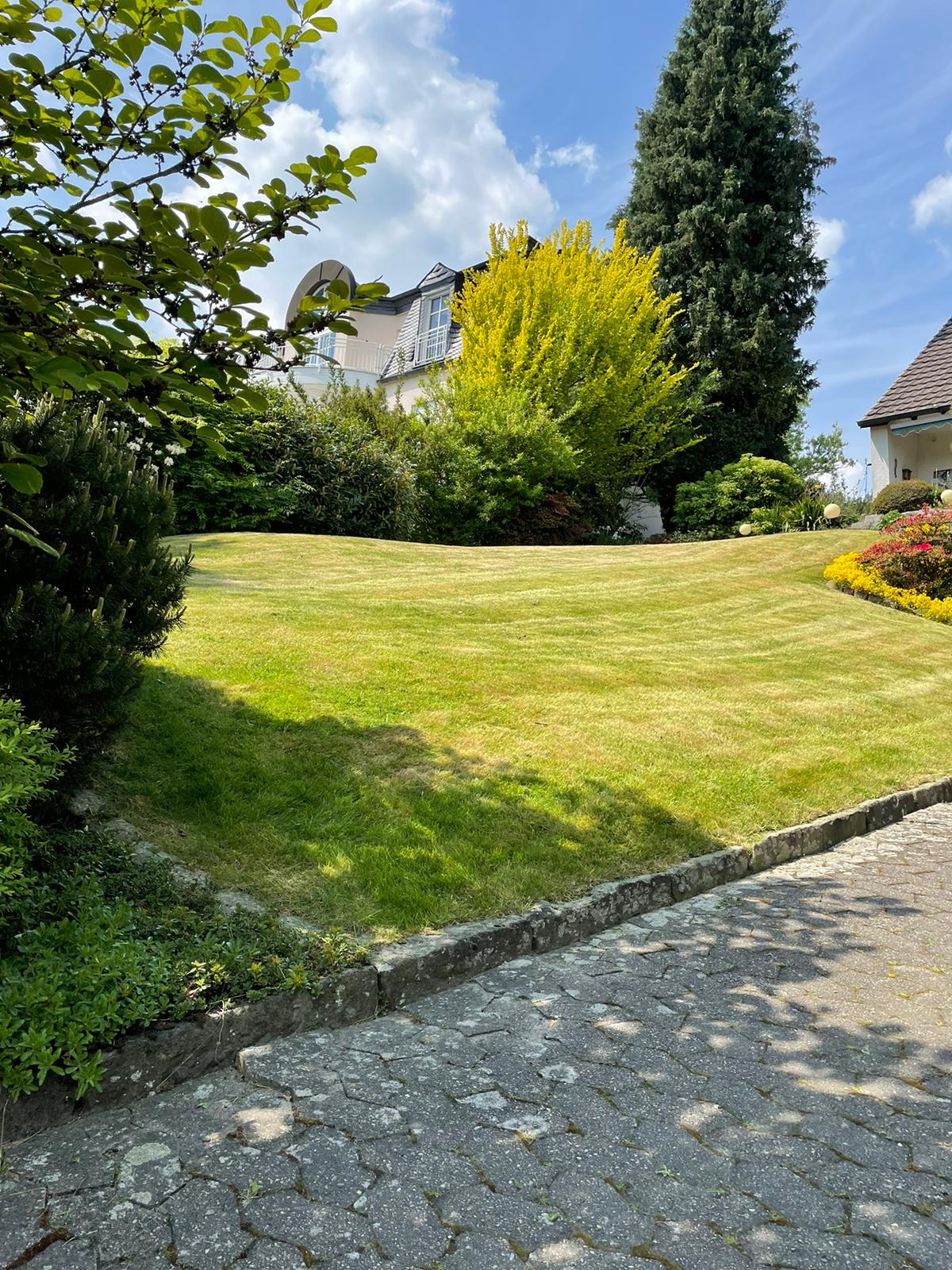 Baum- & Gartenpflege Loose in Melsbach