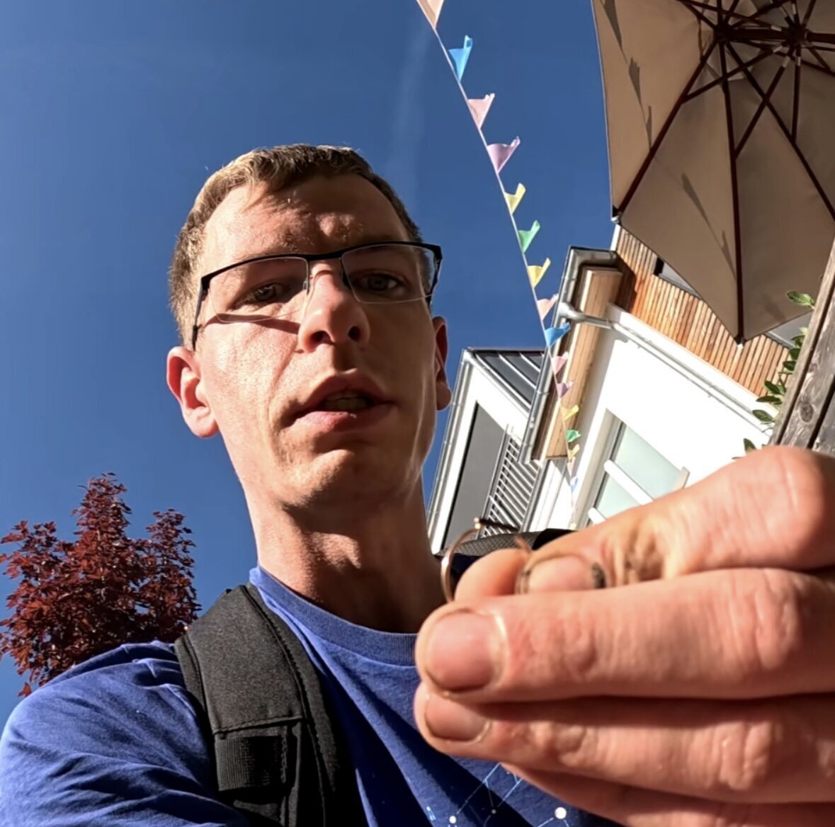 SchatzsucheTV in Verden (Aller)