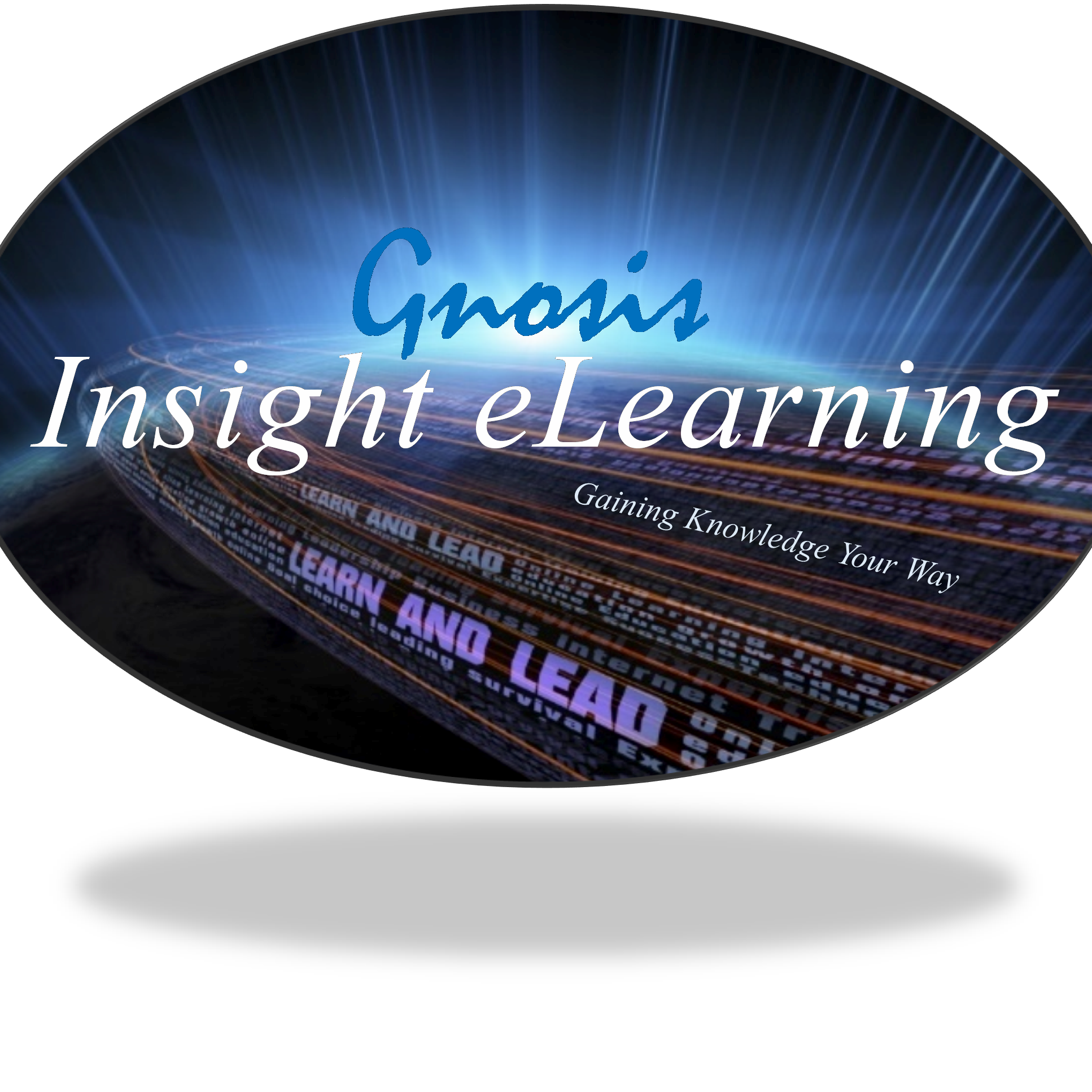 Insight eLearning Logo
