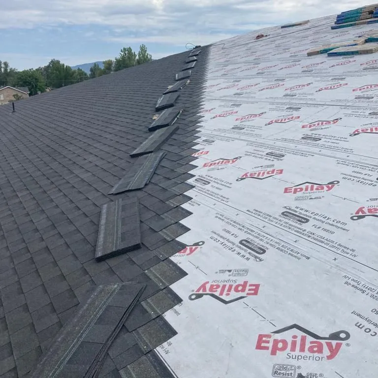 West Desert Roofing Image