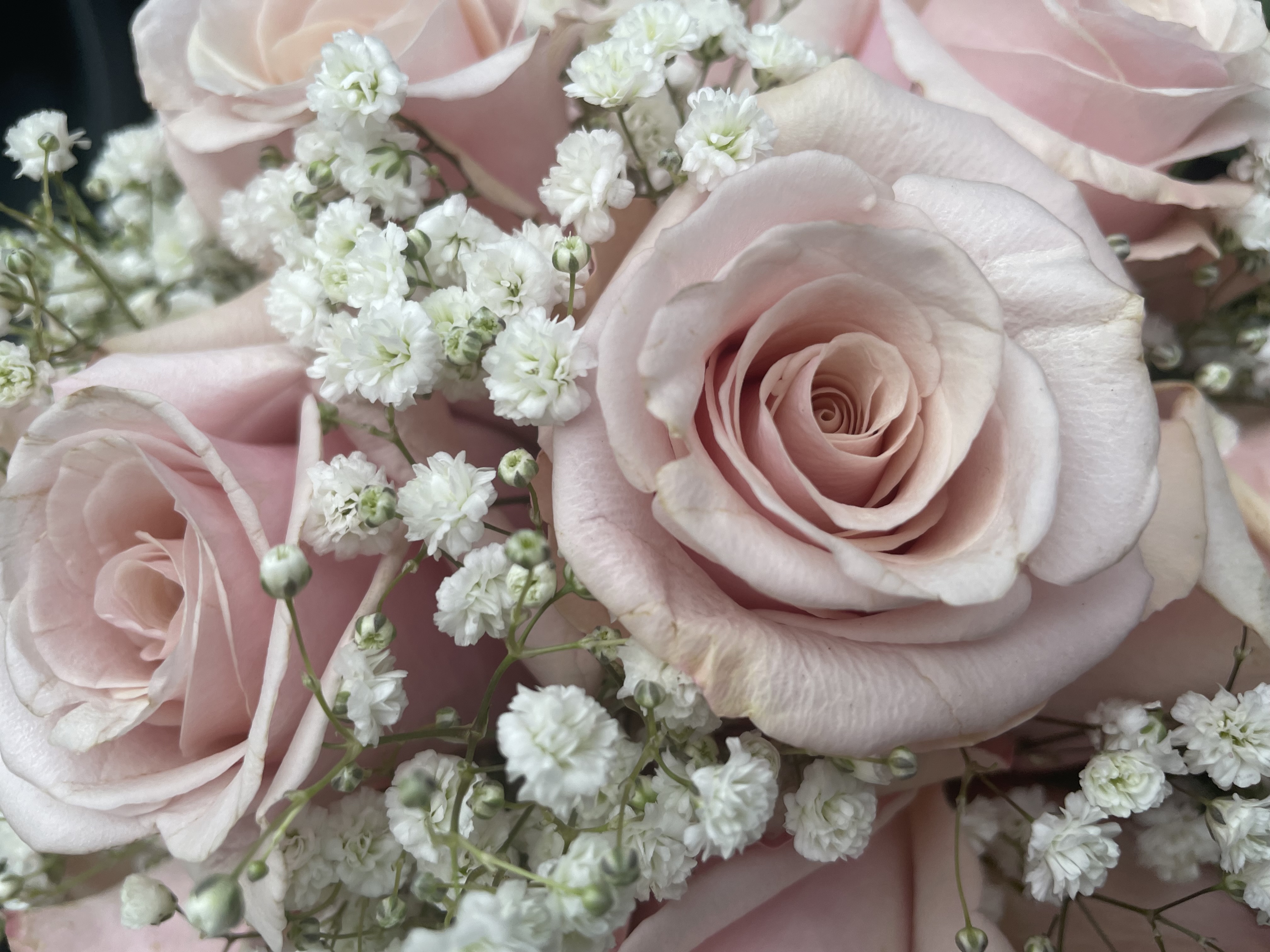 Bilder Floristikfee Christine Wiegand
