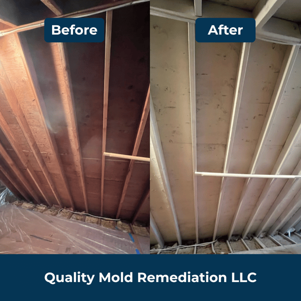 Images Quality Mold Remediation LLC