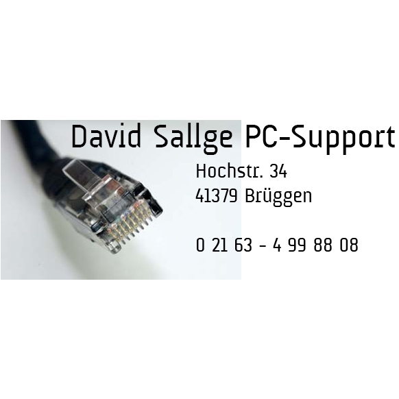 Logo David Sallge PC-Support