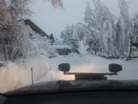 Bild 2 von Tophome, Haus- und Gartenservice