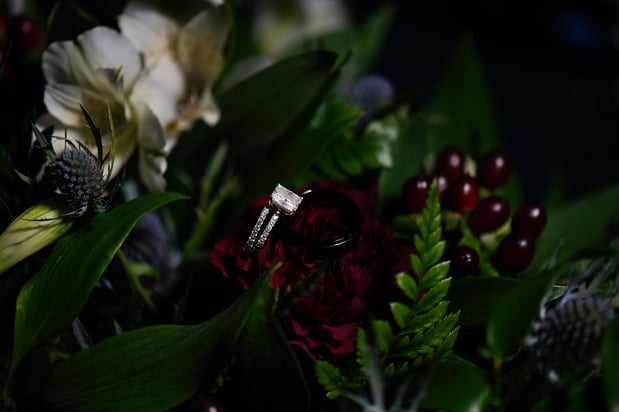 Images Claire Larisa Photography