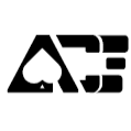 ACE Projects Inc