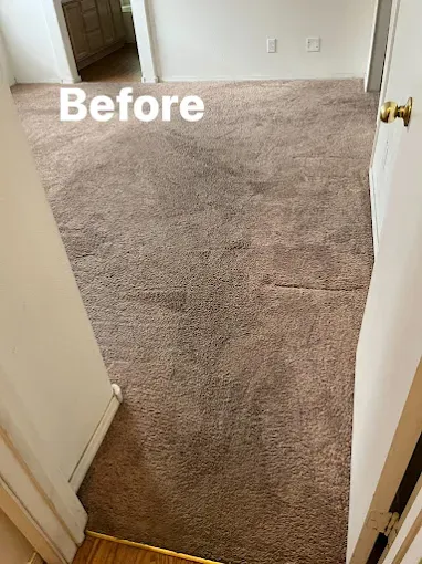 Dirt Doctor Carpet Cleaning Image