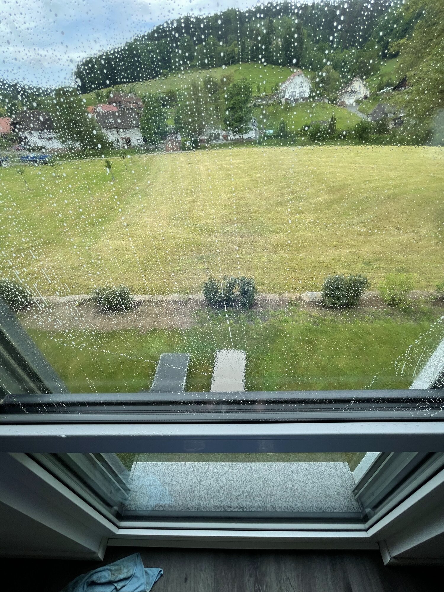 Gebäudereinigung Fiehn in Friesenheim
