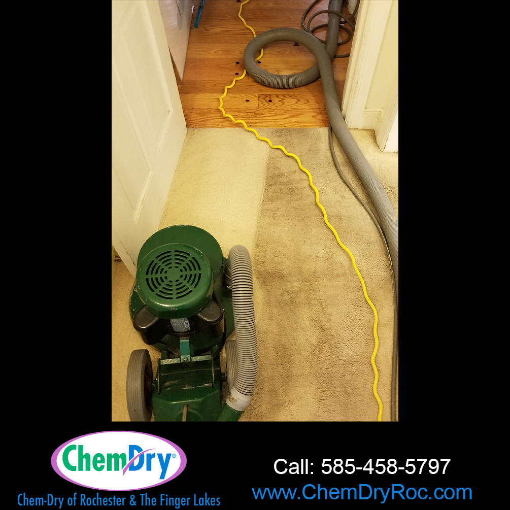 Carpet Cleaning in Fairport, NY