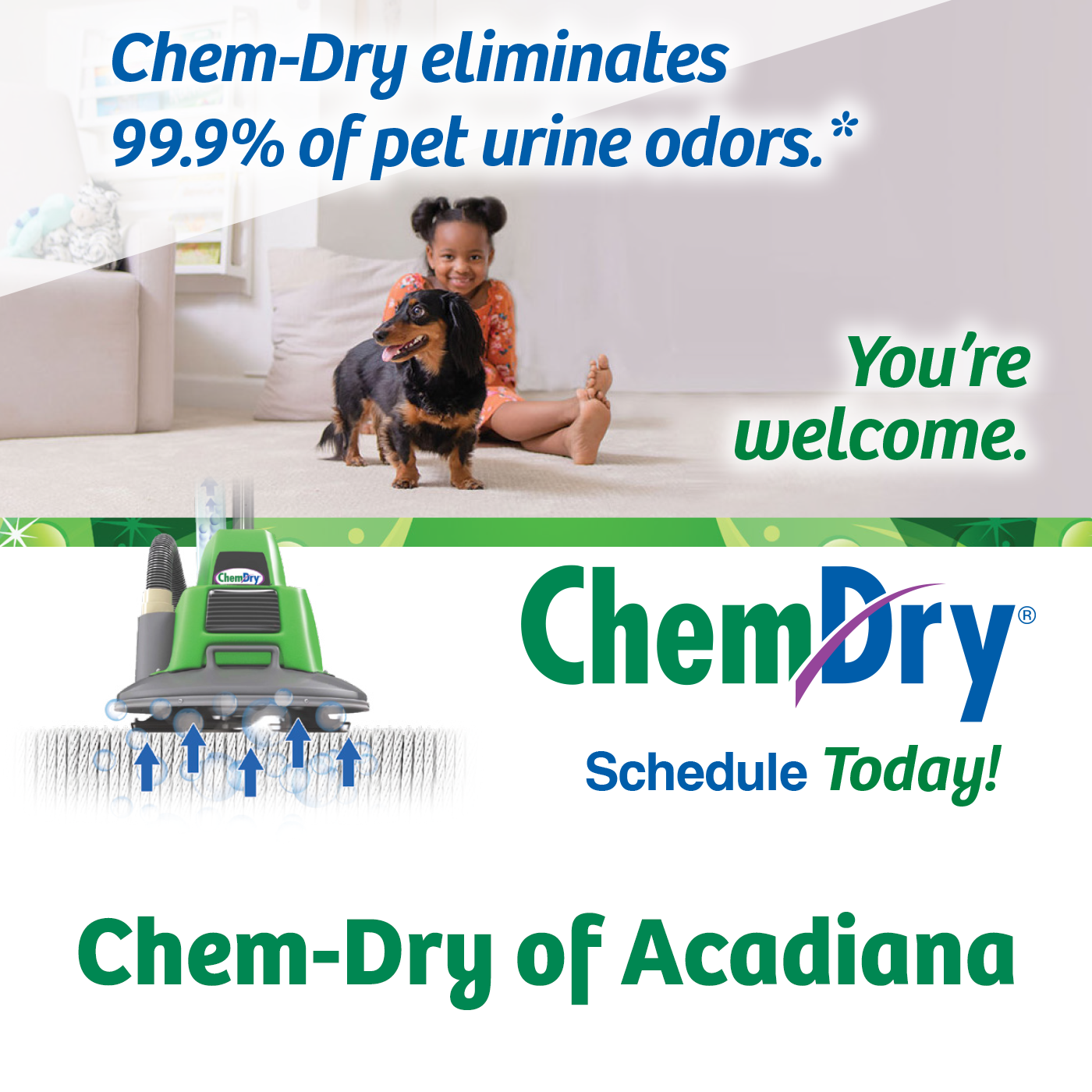 Chem-Dry eliminates 99.9% of pet urine odors