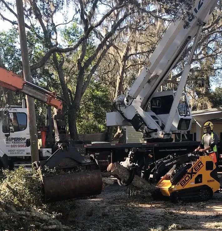 Valid Impressions Tree Service LLC Image