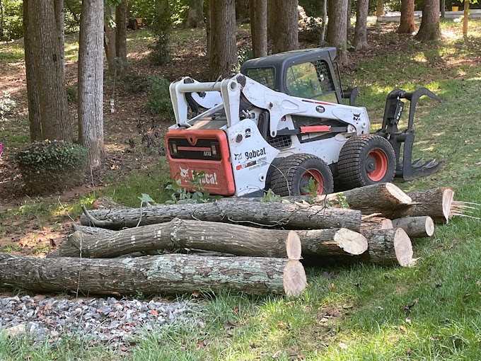 Arning Tree Service Image