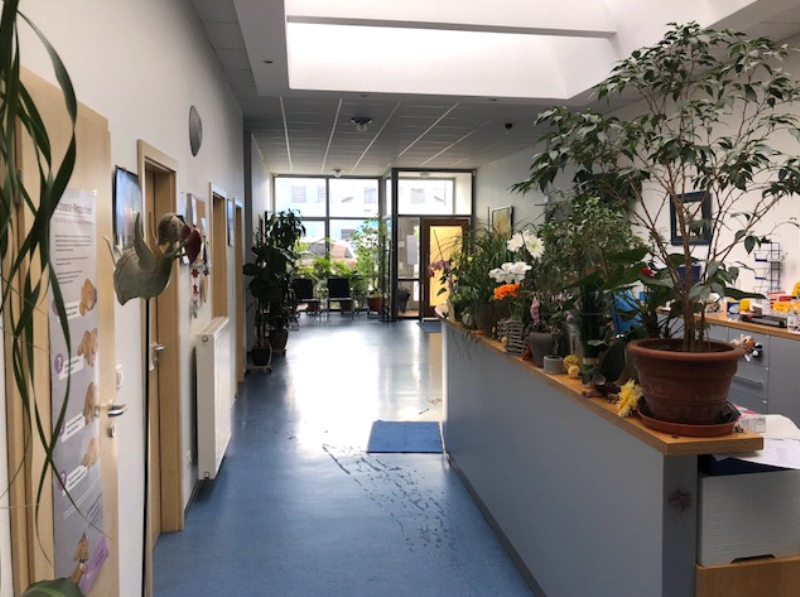 Tierarztpraxis Dr.med.vet. Sabine Duschner, Johann-Höllfritsch-Straße 9 in Wendelstein