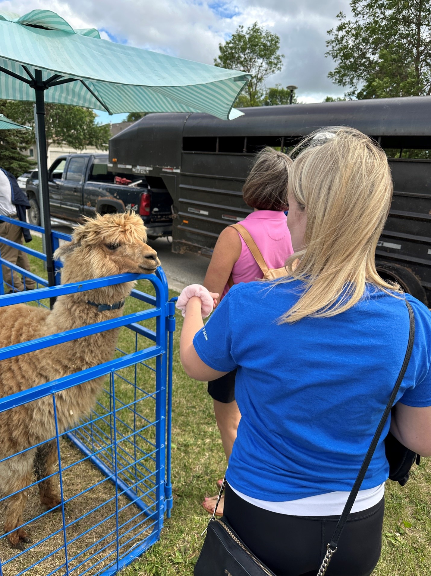 Simkin Stroll 10.jpg