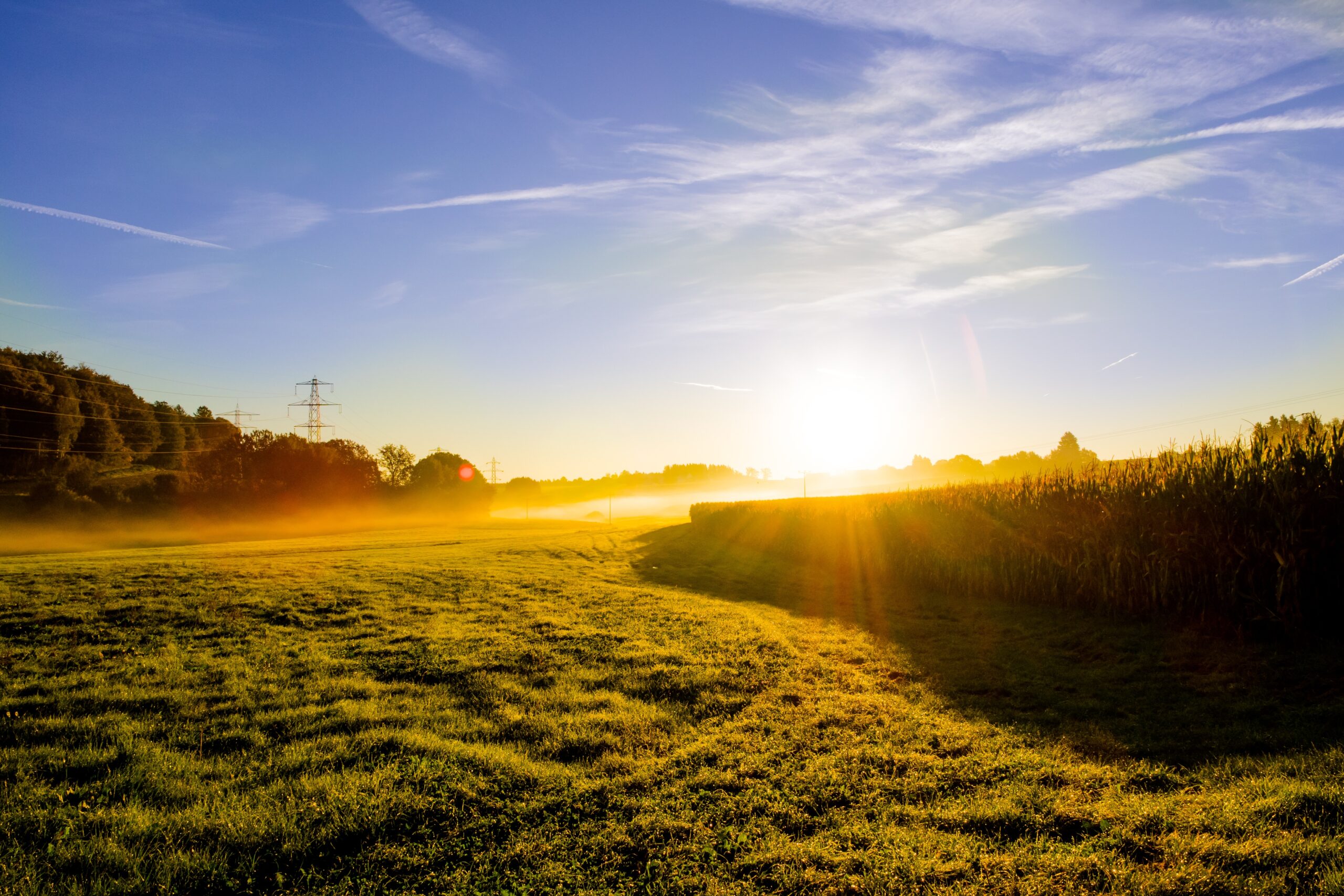 Physio Team Rensmann, Antoniusstr. 10 in Lingen (Ems)