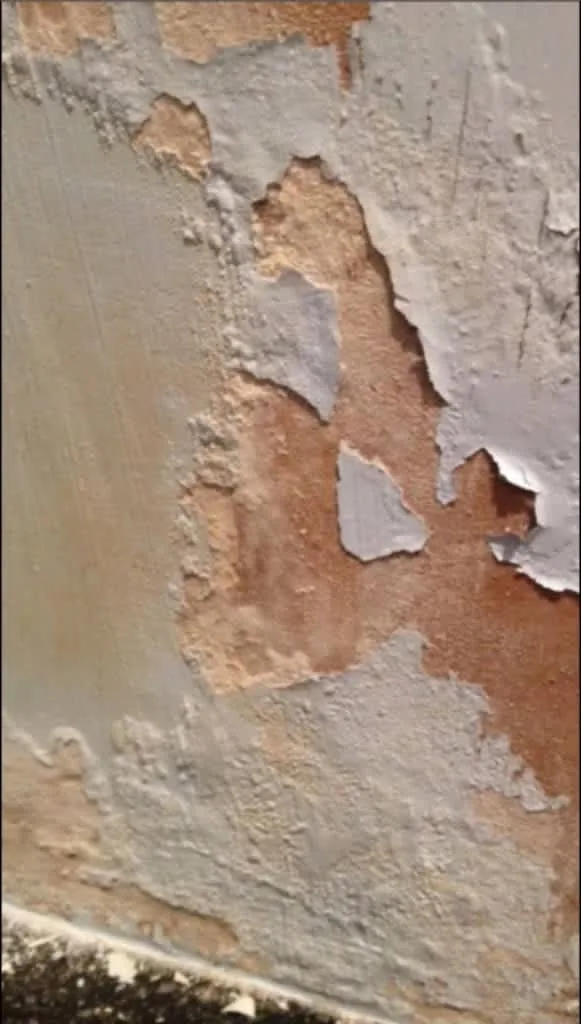 Images Verisure Damp Proofing & Plastering
