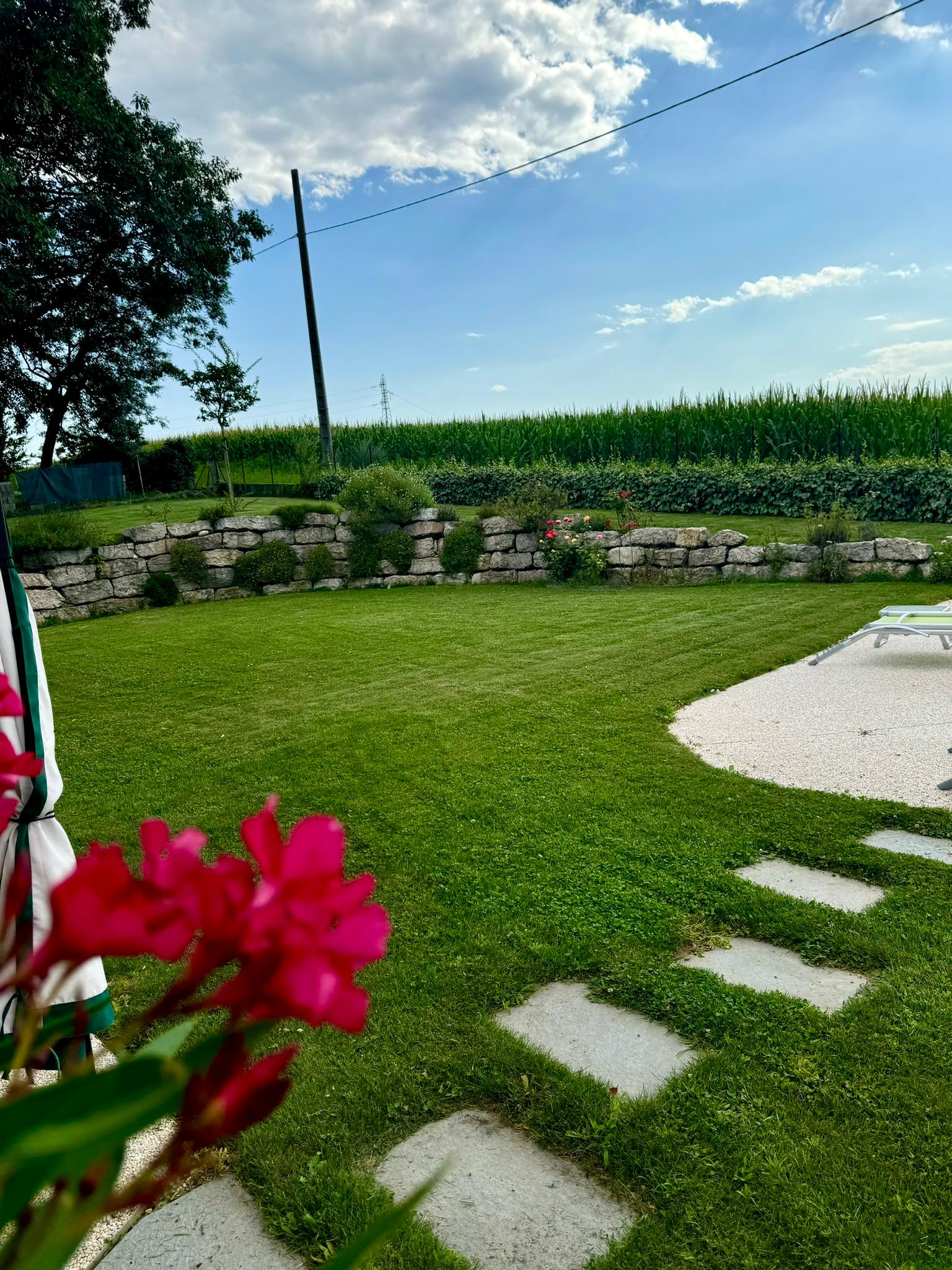 Images Rodet Paysages et Piscines