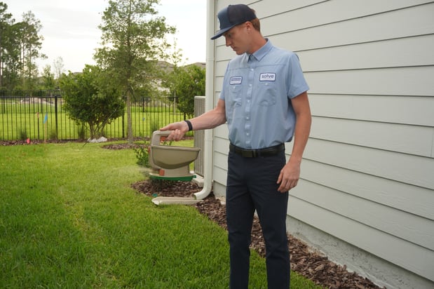 Images Solve Pest Pros