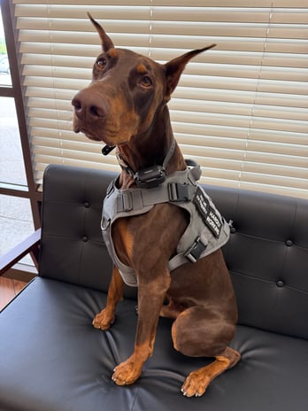 Images Miles Tharp: Allstate Insurance