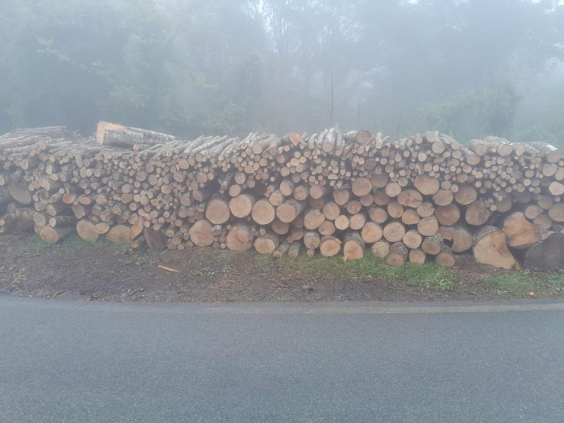 Images Il Maestro del Fuoco - Legna da Ardere Senago
