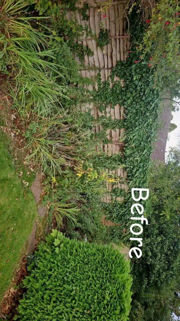 Images PG Garden Maintenance