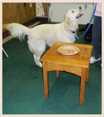 Learn to teach your dog manners