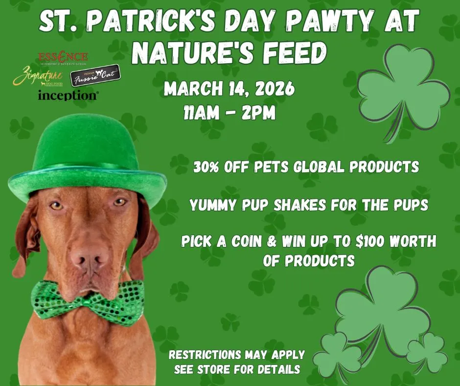 Image of Local Pet Event St Patrick's Day Pawty Nearby