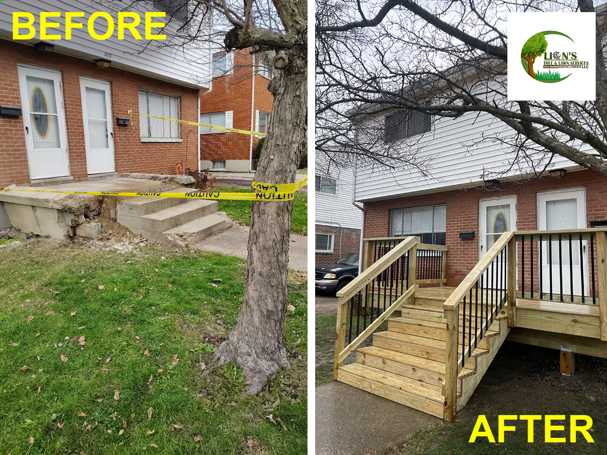 Lions Tree & Landscaping Image