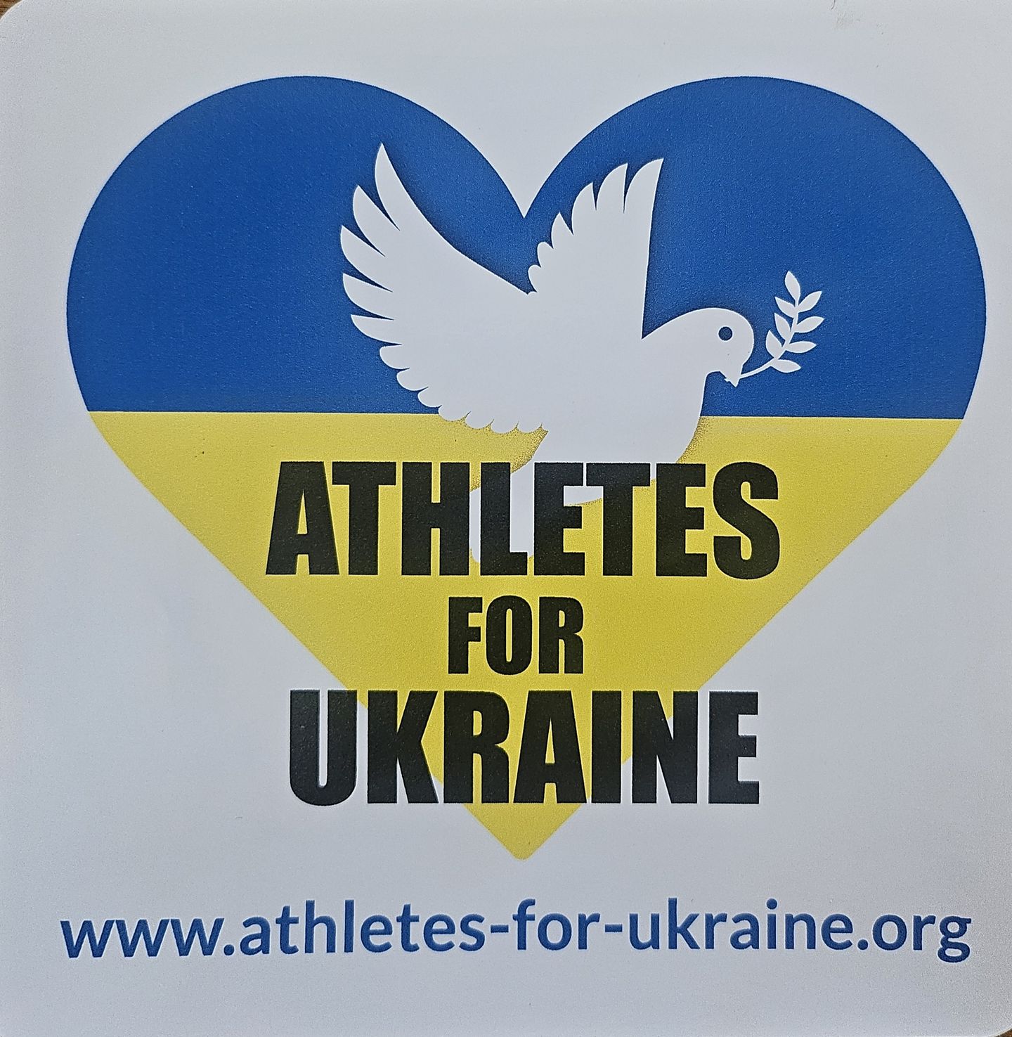 INES' HAIR SHOP, Markt 9 in Dippoldiswalde