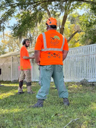 Images All Your Way Tree Service