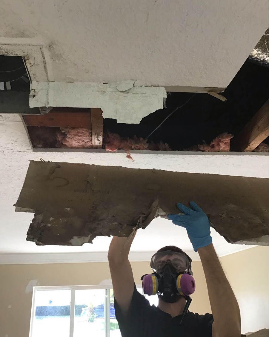 Excessive moisture can lead to mold growth in houses. Have SERVPRO of Delray Beach do a professional mold inspection if your Delray Shores, FL home has recently suffered any kind of water damage. Give us a call!