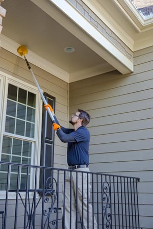 Images Pest & Termite Consultants