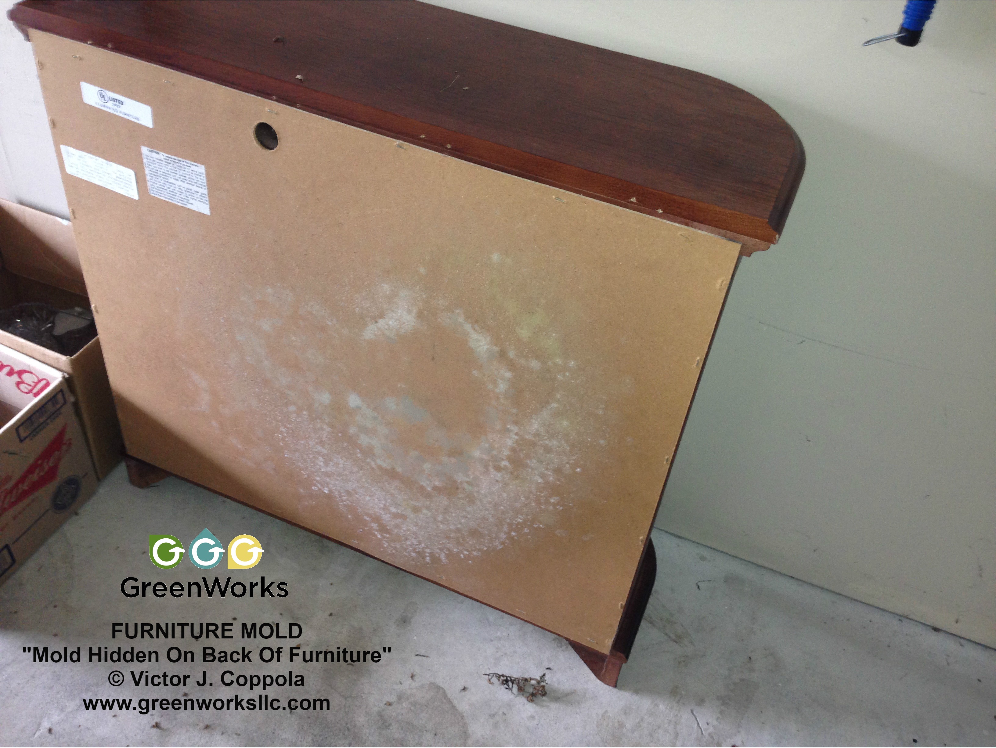 Mold inspection photo showing wall staining and hidden mold concerns discovered during a property assessment.