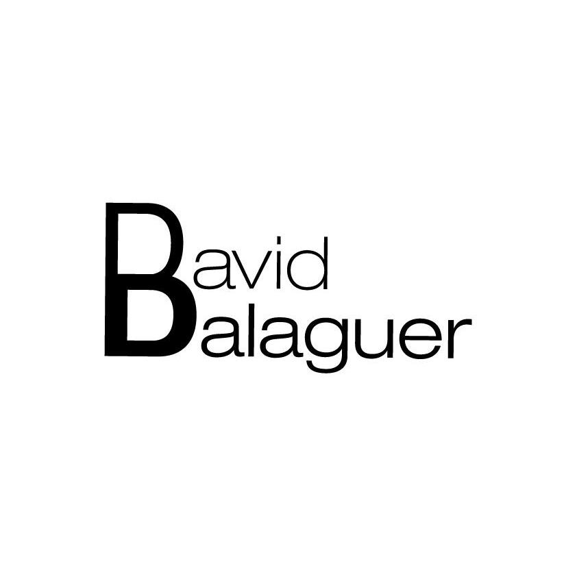 David Balaguer Rabinad Logo