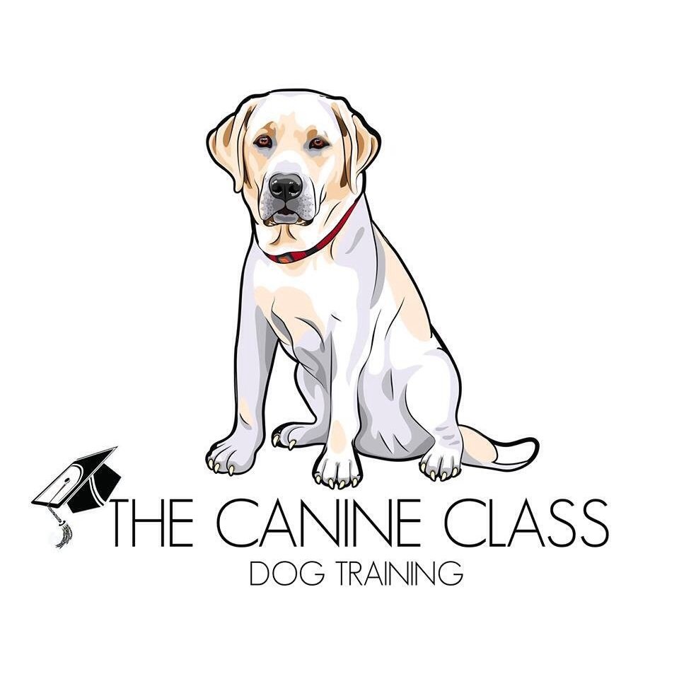 The Canine Class LLC