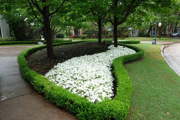 Images Moss Creek Landscaping