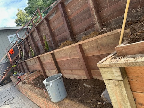 Francisco's Gardening and Maintenance Image