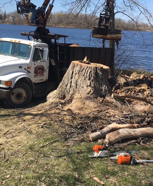 Images Eager Beaver Tree Service LLC