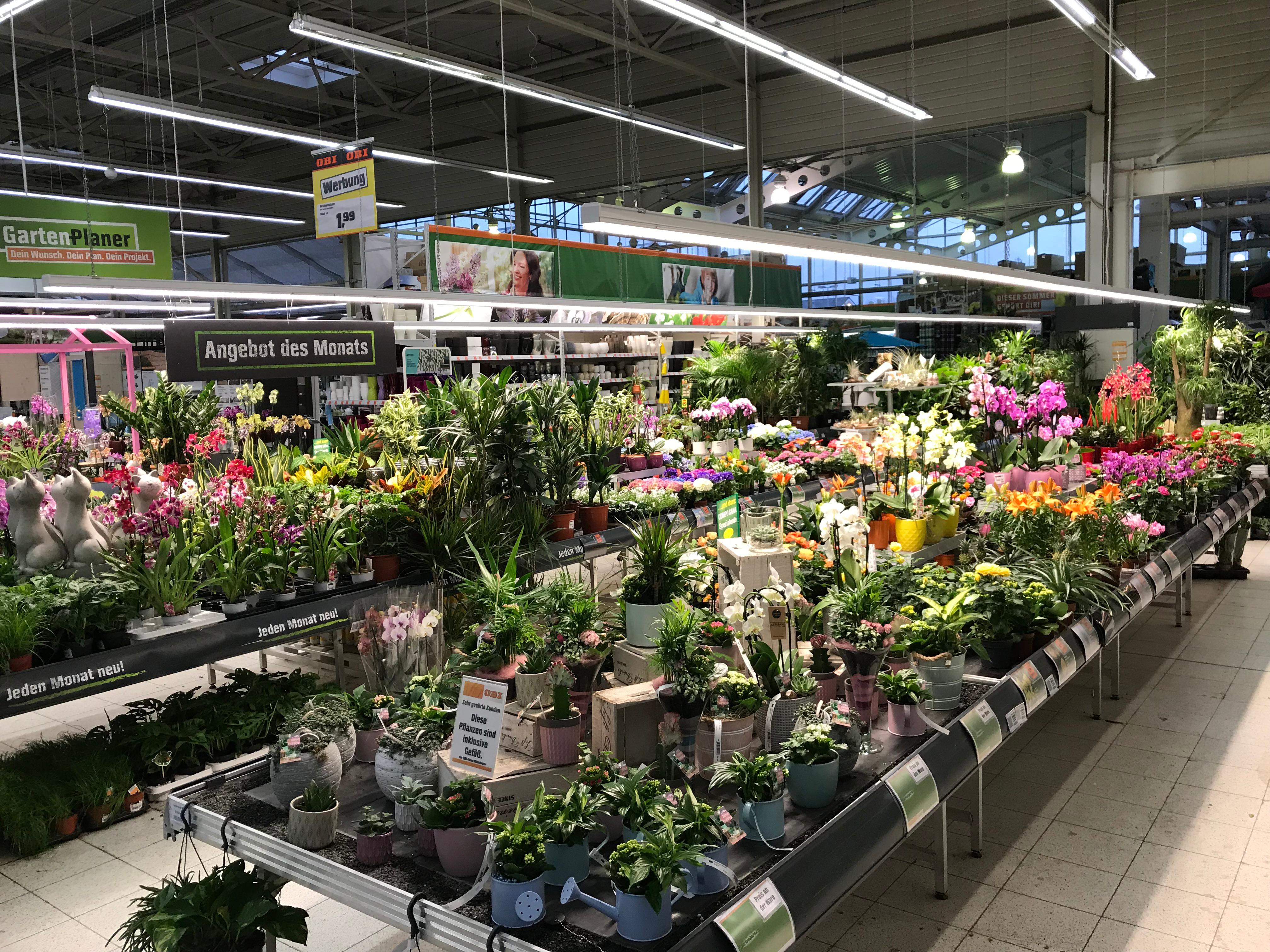 30+ Öffnungszeiten Obi Rheinbach, Sehen sie sich für zusätzliche