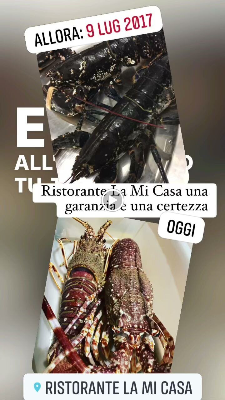 Ristorante La Mi Casa