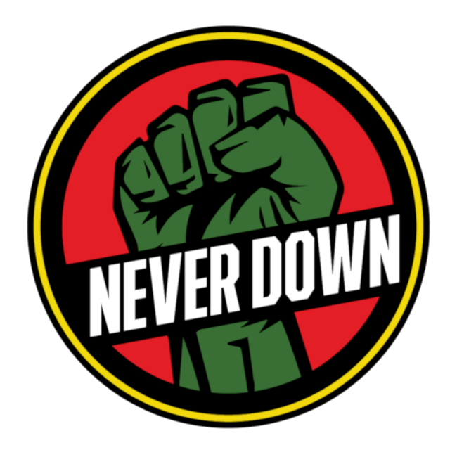 Never Down 24-Hour Commercial Roadside Service & Towing