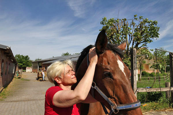 Bilder Pferdetherapeut Pferd-entspann-Dich Claudia Gansohr-Kratz, M.A.