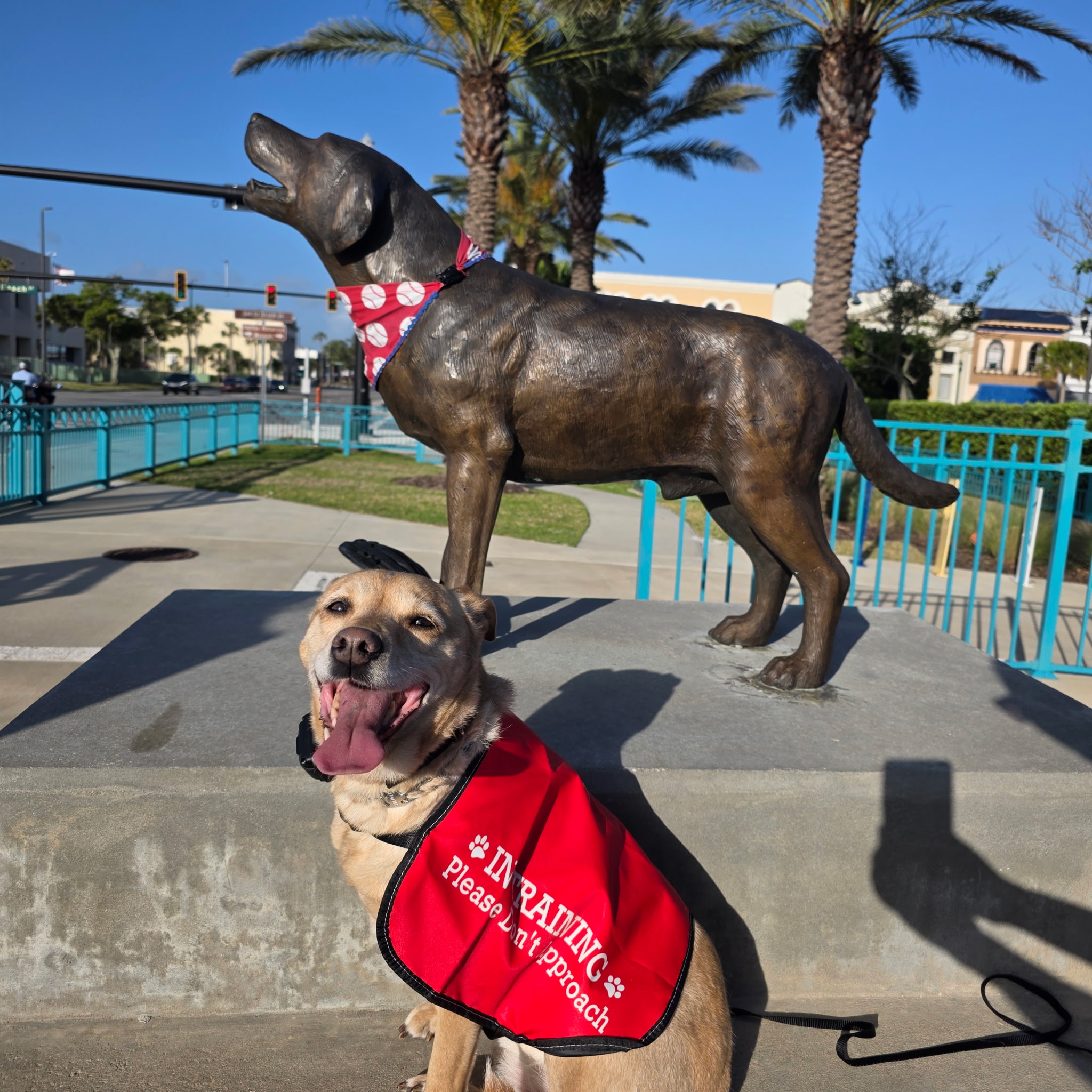 Russell's K9 Academy Image