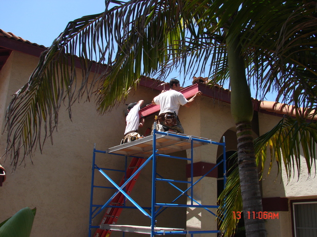 Images C. A. Luce Termite Control