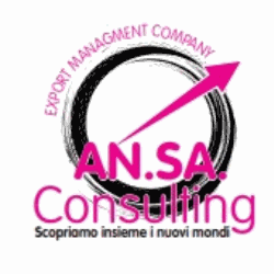 An.Sa Consulting Logo