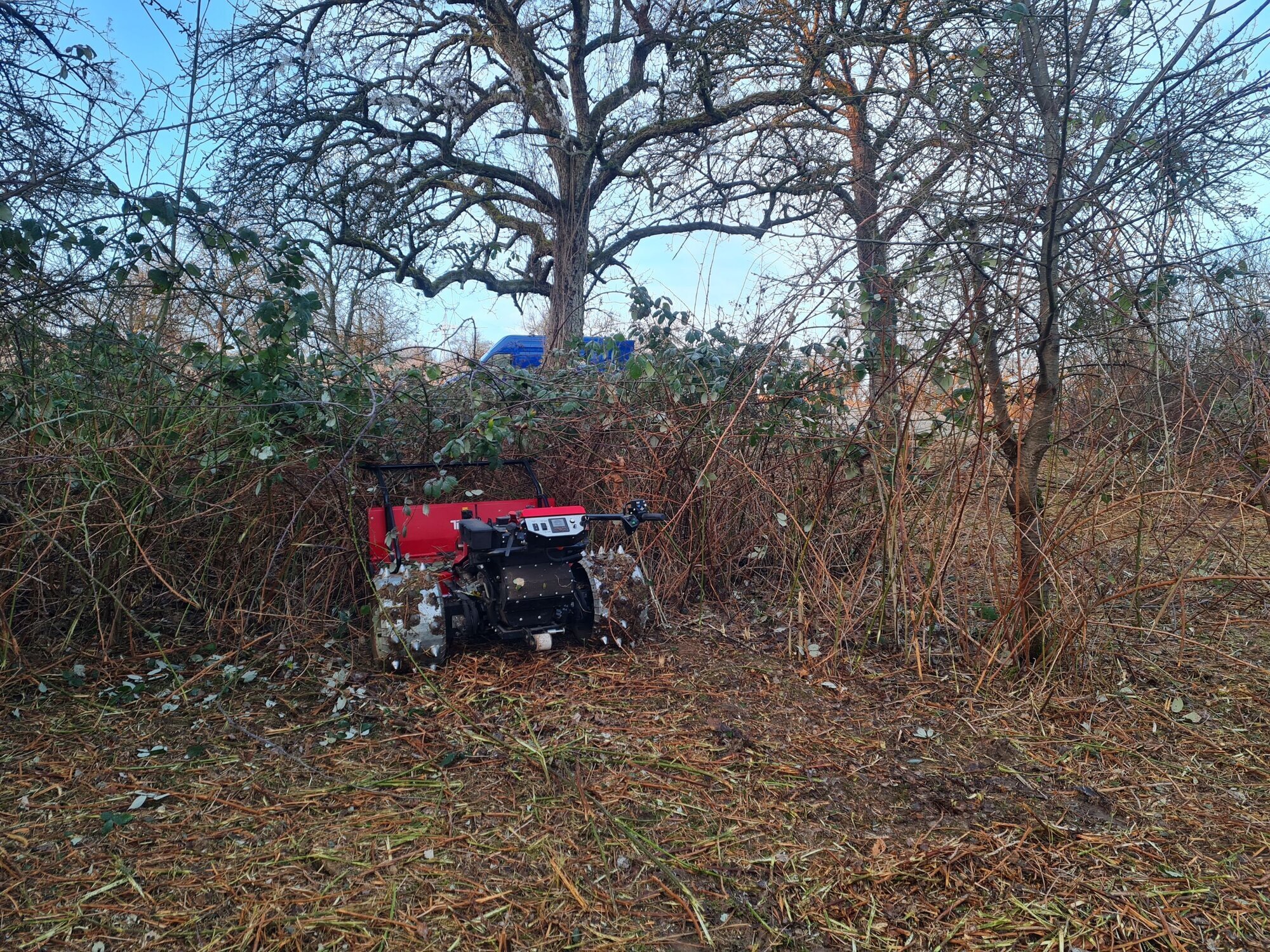 Zengerle Landschafts.- und Gartenpflege, Kuchentalweg 3 in Königsbach-Stein